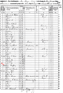 lucy-census