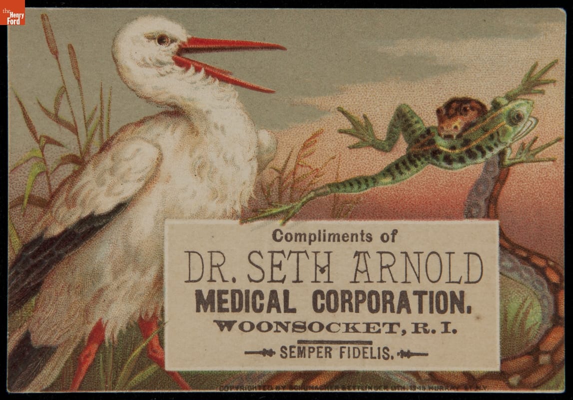 White bird with open long orange beak near snake with leaping frog in its mouth;  also contains text
