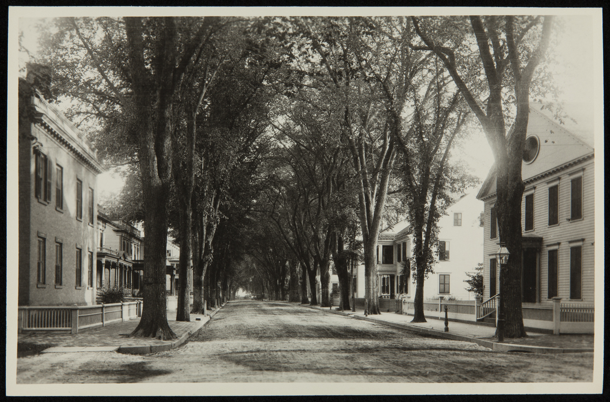 Noah Webster Home at Its Original Site, New Haven, Connecticut, circa 1927 Black-and-white photo of tree-lined road with houses with low fences along both sides