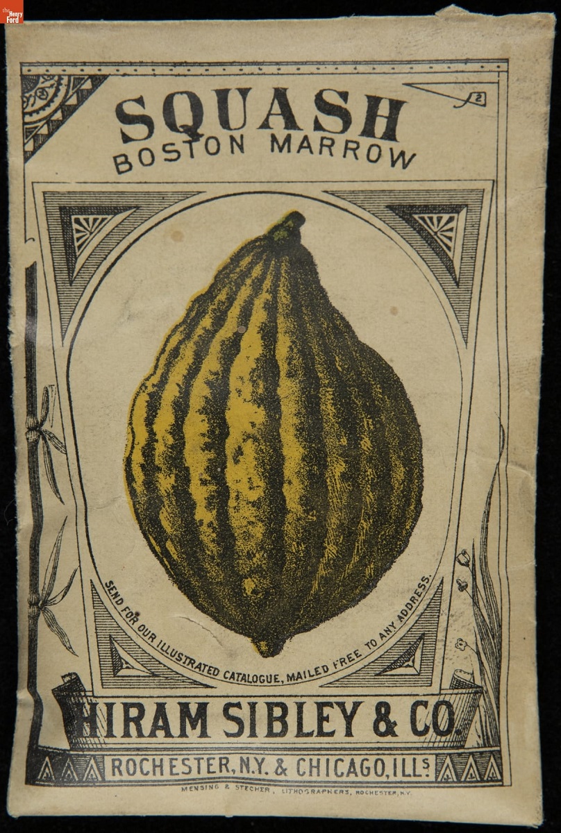 Seed packet with text and image of gourd-shaped greenish-yellow squash