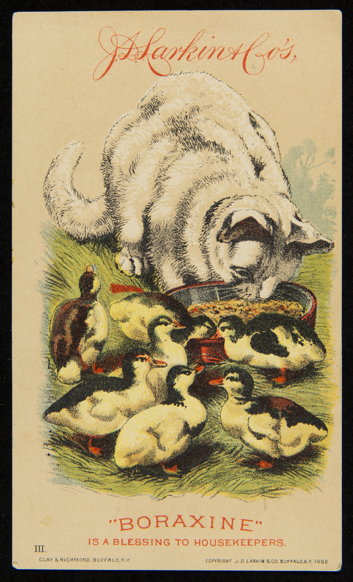 Trade Card for "Boraxine" Soap, J.D. Larkin & Co., 1882 Cat and ducks around feed dish, also contains text