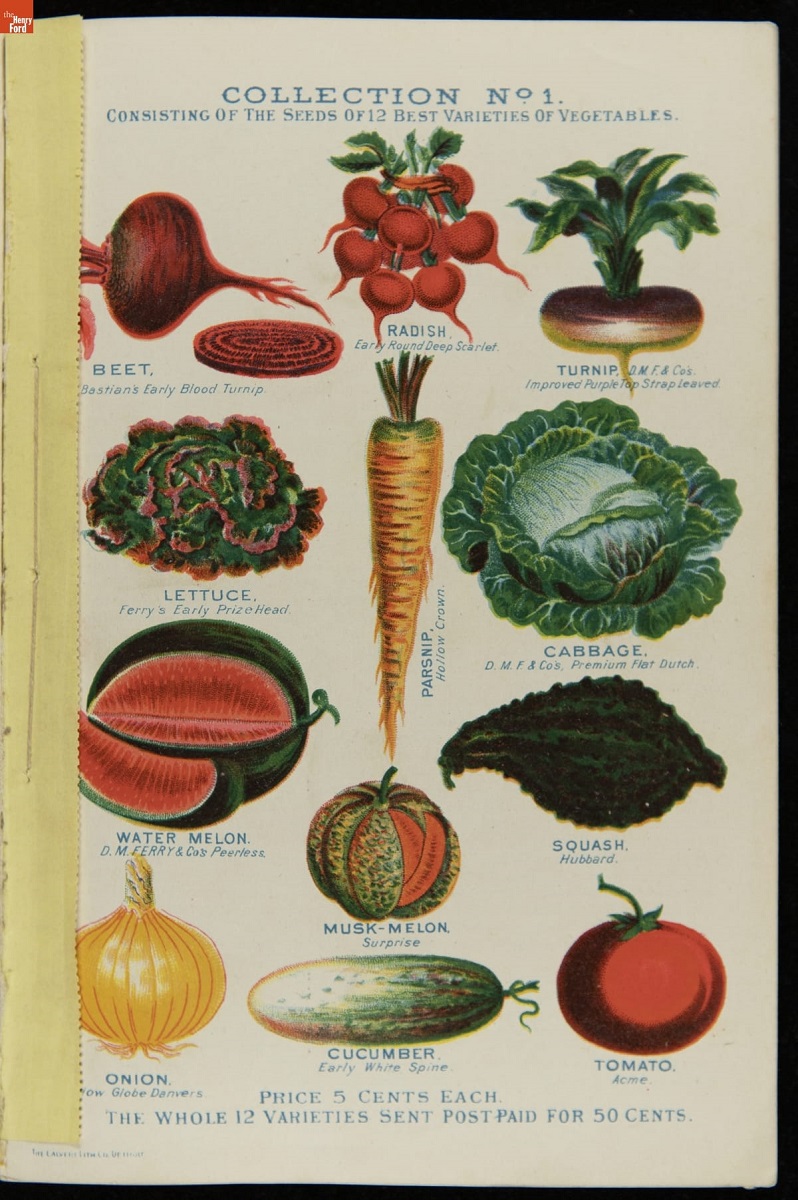 Page with text and a variety of vegetables and fruits